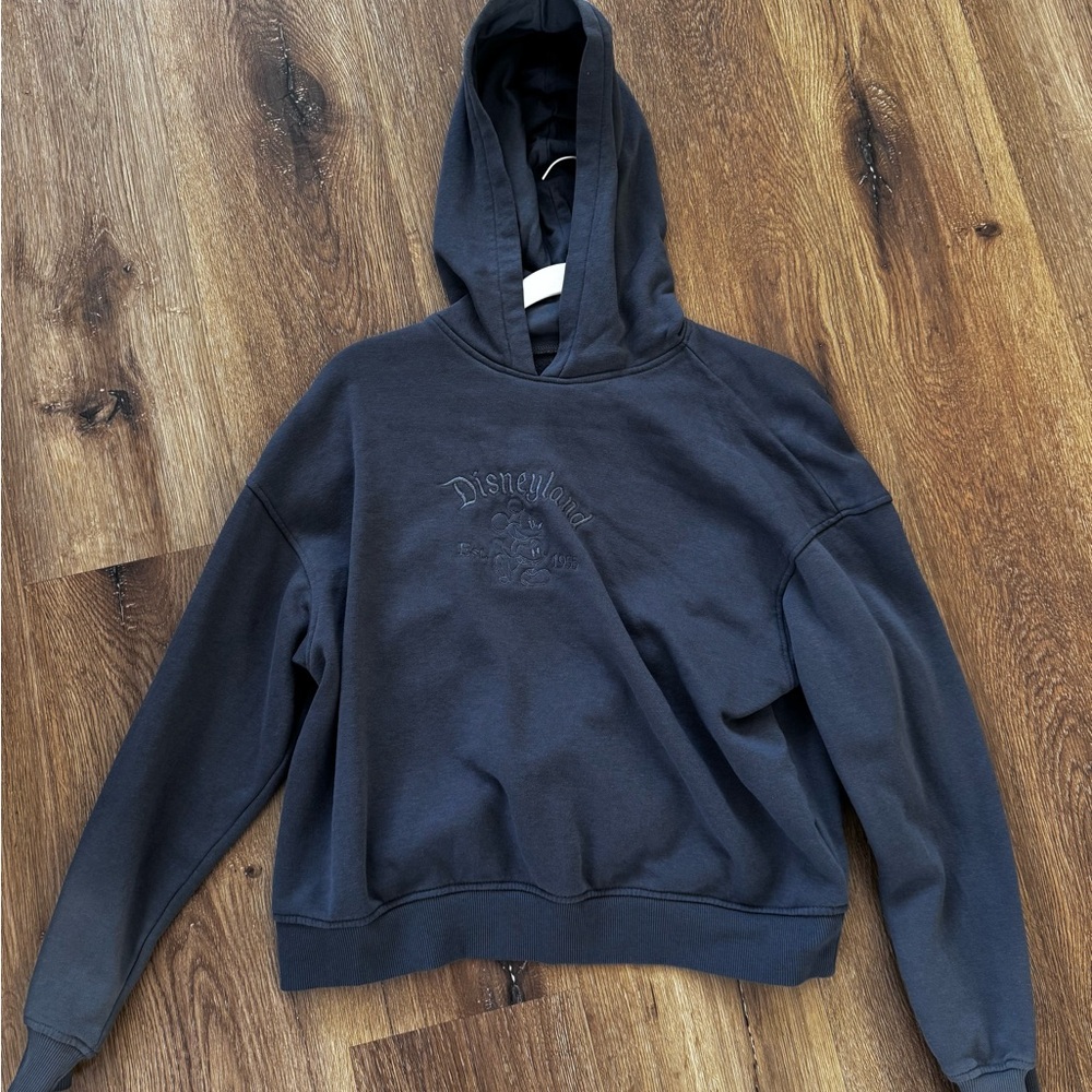 Disneyland embroidered grey Hoodie small